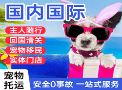 金湾航空运输国际宠物托运 【国